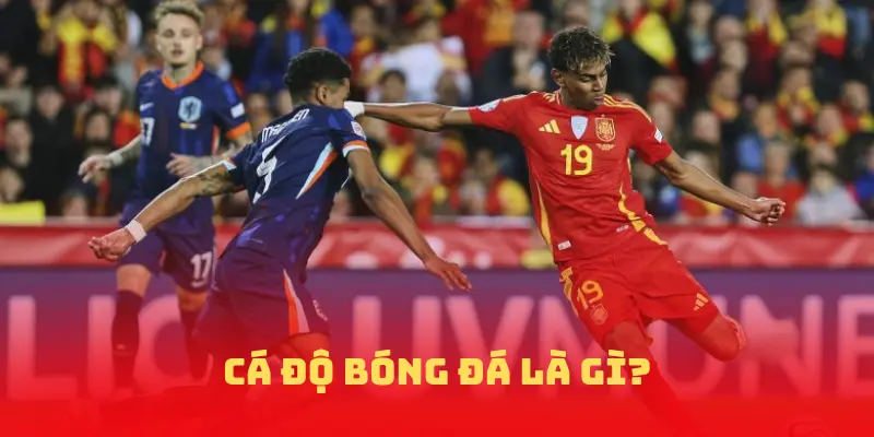 Cá Độ Bóng Đá Là Gì?