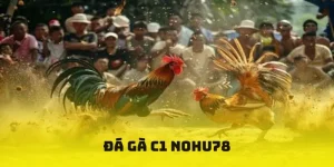 Đá gà C1 Nohu78