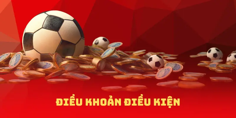 điều khoản điều kiện nohu78