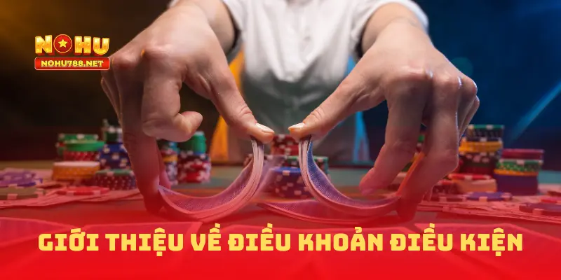 Giới thiệu về điều khoản điều kiện