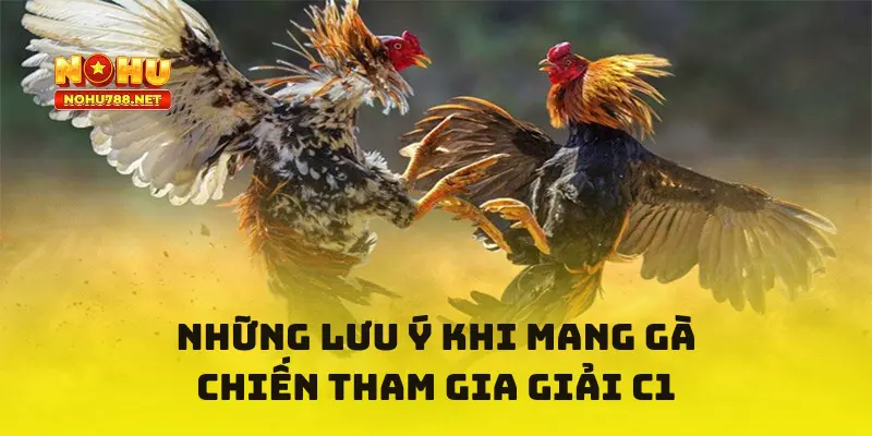 Những lưu ý khi mang gà chiến tham gia giải C1