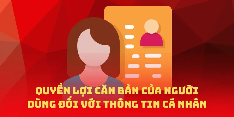 Quyền lợi cơ bản dành cho người dùng về dữ liệu cá nhân