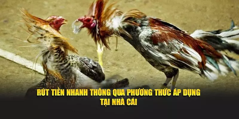 Rút tiền nhanh thông qua phương thức áp dụng tại nhà cái