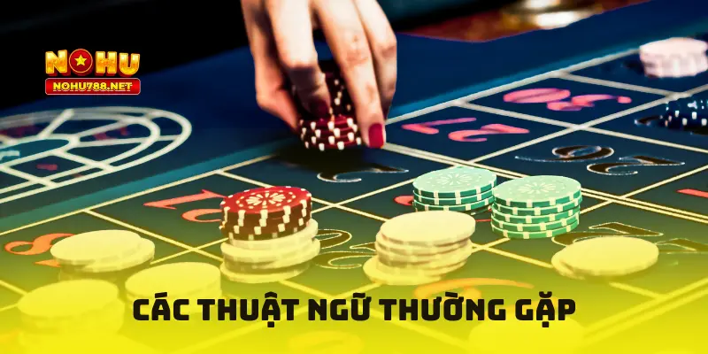 Các thuật ngữ thường gặp