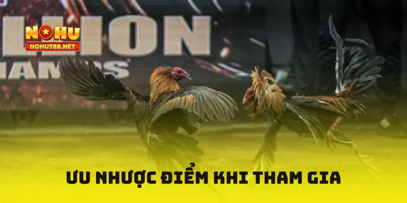 Ưu nhược điểm khi tham gia đá gà Casino